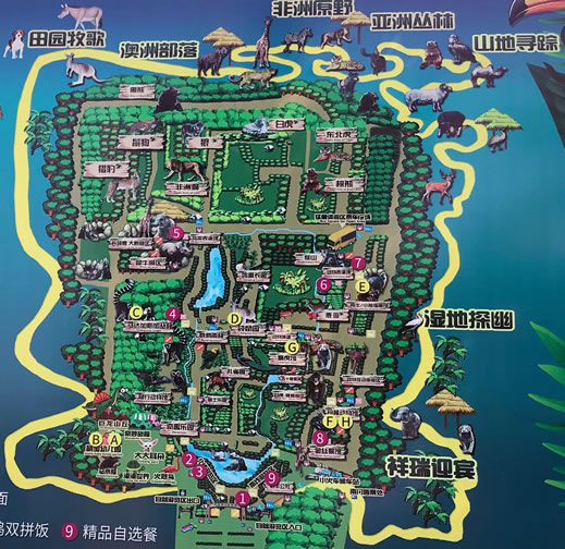 ����Ұ������@���[�D